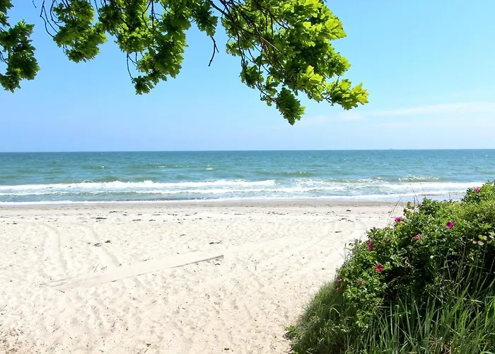 Strandresort Rex Rugia Ferienwohnung 29-6 mit Sauna- und Schwimmbadnutzung im AHOI Sellin